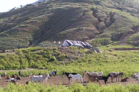 Campamento de Cabreros